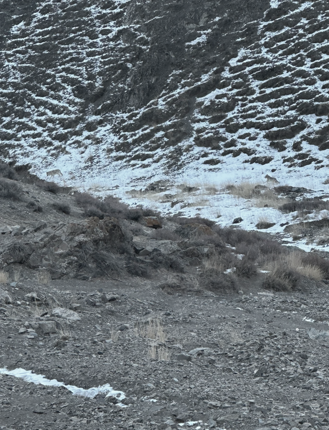 B体育入口-新疆遭遇意外失利，排名下滑